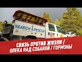 Связь против жизни / Опека над собакой / Гормоны и эмоции