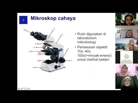 Mikrobiota Saluran Cerna Pertemuan 9_Identifikasi Mikroba (18 April 2022)