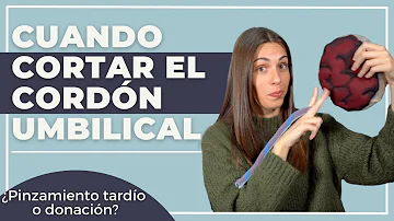 ¿Qué ventajas tiene no cortar el cordón umbilical?