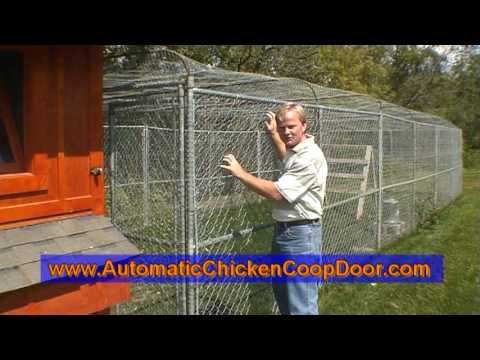  of our Chicken Coop &amp; Automatic Chicken Coop Door Opener - YouTube