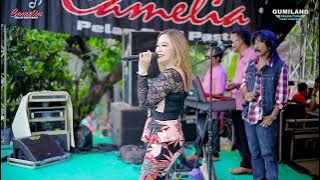 CAMELIA MUSIC - TEMAN BIASA - EVA AQUILA - PARTY SEDULUR ERWE LIMO - PENDEM KEMBANG JEPARA