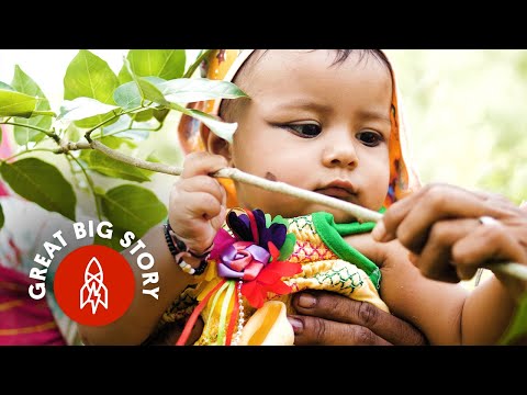 This Village in India Plants 111 Trees Every Time a Girl Is Born