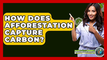 How Does Afforestation Capture Carbon? - Earth Science Answers