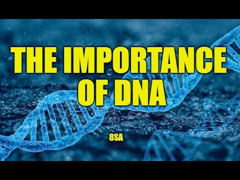 The Importance of DNA (Functions and genetic information in dna)