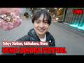(Live) Ueno Sakura Festival Started! Let's enjoy Sakura at Ueno, Tokyo Station, and Akihabara!