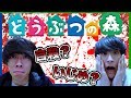 【どうぶつの森】自殺した少女の住む村がヤバすぎてポケットキャンプどころじゃない…【都市伝説】