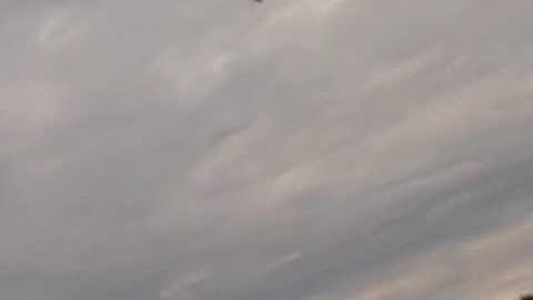 Blade 400 3D Loop Training