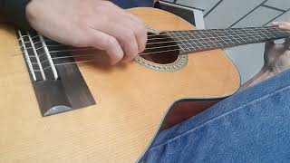 Video thumbnail of "Wellerman Sea Shanty - Easy Guitar Arrangement"