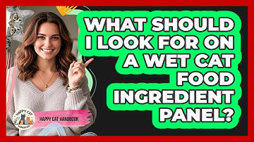 What Should I Look For On A Wet Cat Food Ingredient Panel? - Happy Cat Handbook