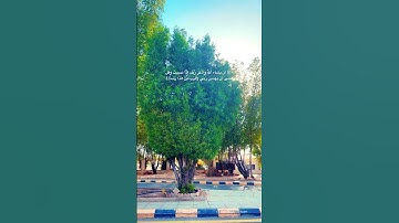 وأذكر ربك إذا نسيت #سورة_الكهف #قرآن_كريم #حالات_واتس