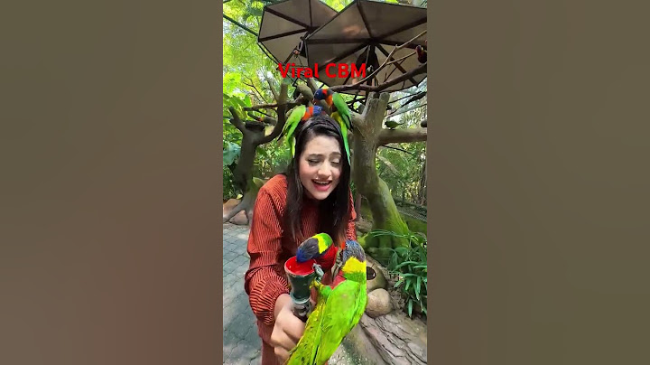 রিতুর বান্ধবীরা চলে আসছে 🦜Malaysia Parrot 😍 _short(1080P_60FPS