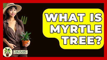 What Is Myrtle Tree? - The Plant Enthusiast