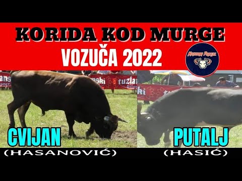 PUTALJ (HASIĆ) - CVIJAN (HASANOVIĆ) KOD MURGE VOZUČA 2022