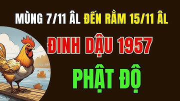 Tử Vi Tuổi Đinh Dậu 1957. từ Mùng 7 tháng 11 âm lịch đến Rằm tháng 11 âm lịch, Phật tổ độ Mạng