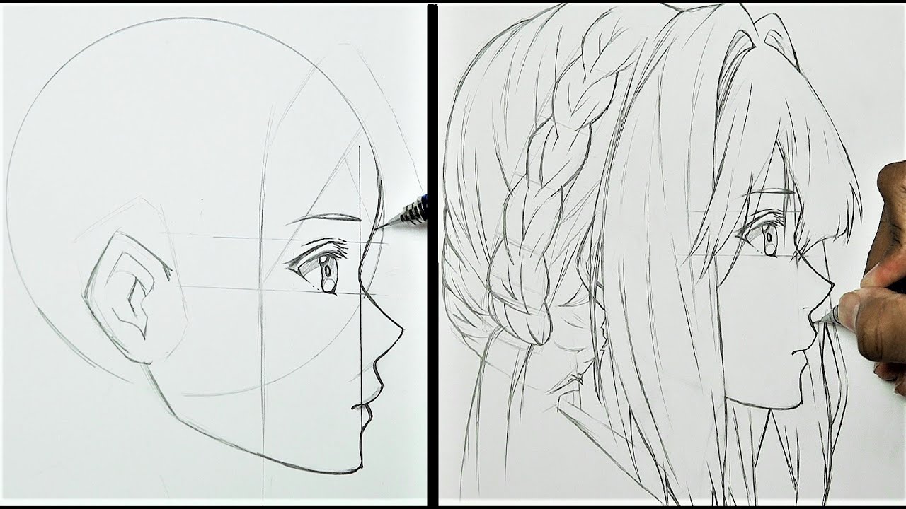 GUIDES & TUTORIALS | Draw Anime/Manga | Female Anatomy