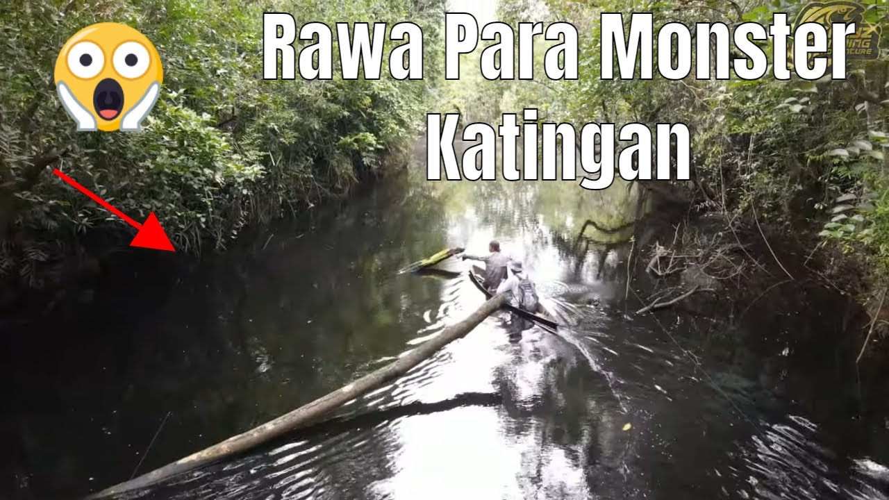 12 Jam Perjalanan Menuju Sarangnya Para Monster Katingan #511