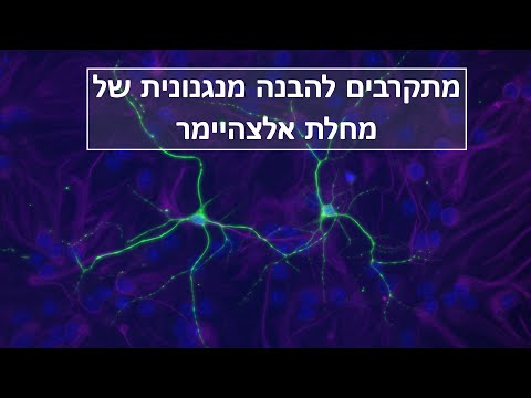 וִידֵאוֹ: כיצד מתרחשת הצטברות ביולוגית?