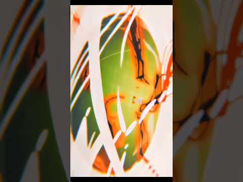 تحول لوفي للجير الخامس امام لوتشي