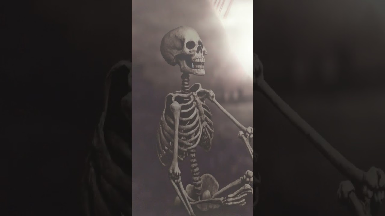 ROBOTIC TRANSFORMATION 