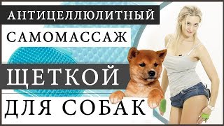 Самомассаж щеткой для собак (АНТИЦЕЛЛЮЛИТНЫЙ массаж в домашних условиях)