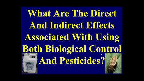 Using Biological Control And Pesticides Together To Manage Greenhouse Insect And Mite Pests
