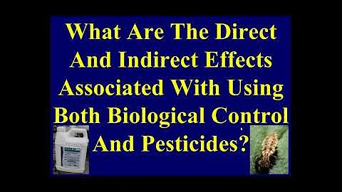 Using Biological Control And Pesticides Together T...