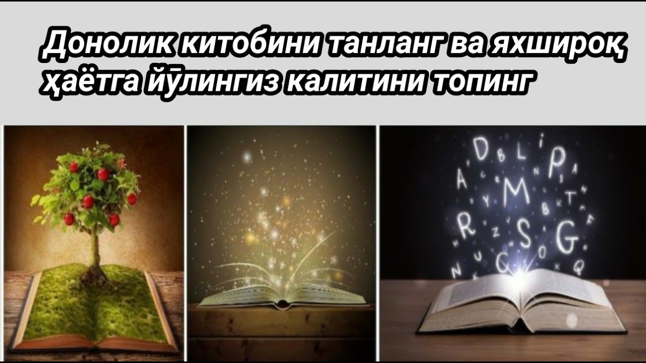 Любовь и выбор книга