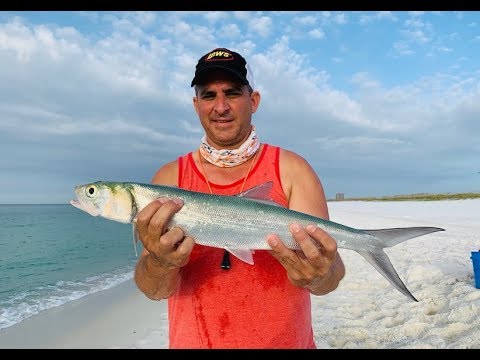 FISHING PENSACOLA BEACH