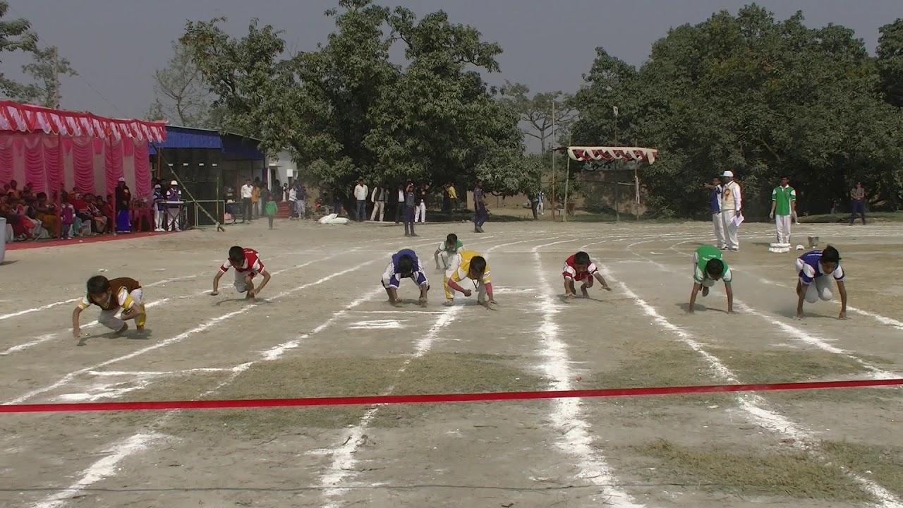 Frog Race For Junior Group - YouTube