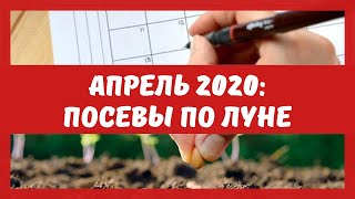 Лунный посевной календарь на апрель 2020: когда сеять семена, пикировать, опрыскивать деревья