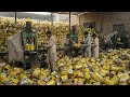 Process of Recycling Old Oil Tin Boxes to Make Paint Cans | How Oil Tins Waste Are Recycling