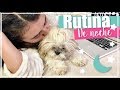 MI RUTINA REAL DE NOCHE 2019 - Sophie Giraldo