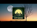 MoYaL - City Moon | Copyright Free Music | Chill Beat | Study Beat | Free Download
