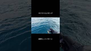 最新ヒットパターン【北海道・函館】サクラマスジギング！Jackson メタルエフェクトステイフォール×オーシャンゲートLJ