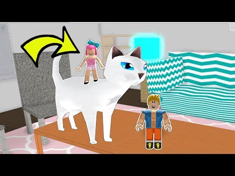Roblox My Real Life House Obby Youtube - pat and jen roblox obby old to future