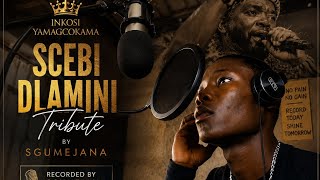 lala kahle (Tribute to Nkosi yamagcokama)