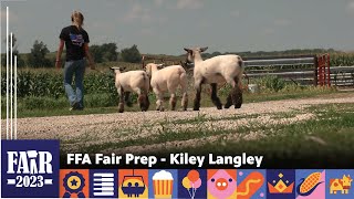 FFA Fair Prep - Kiley Langley – Fair 2023