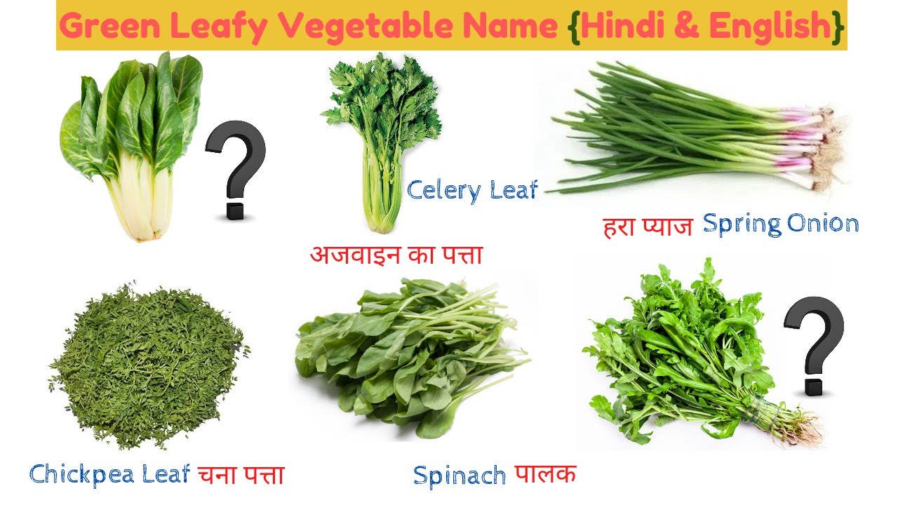 Learn the Names of Green Leafy Vegetables in Hindi and English हरे पत्ते वाली सब्जियों के नाम