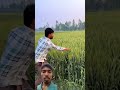Nature videography idea #nature #videography#shortvideo