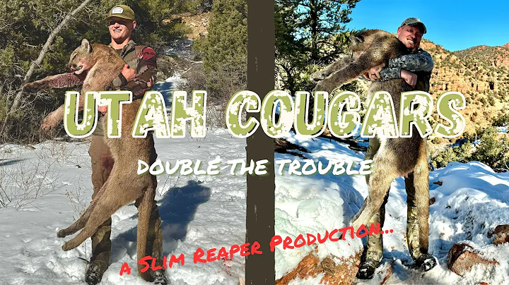 Utah Mountain Lion Hunt! | 2 DOWN before 1PM?! | First Day Luck!
