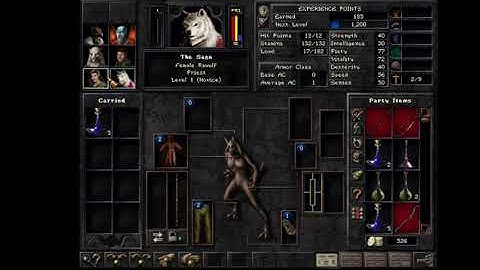 Lets Play Wizardry 8 part 5