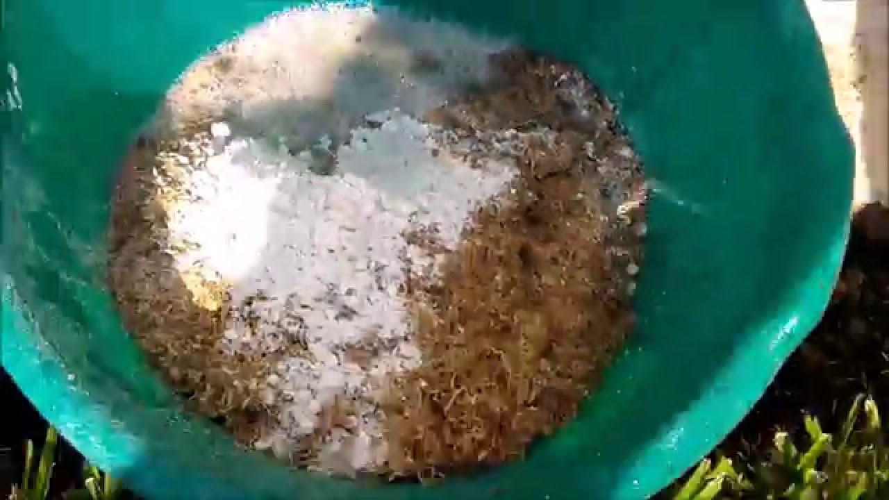 Haciendo Briquetas y Pellets