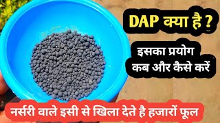 DAP fertilizer क्या है ? और कैसे यूज करें ,DAP fertilizer benefits & use screenshot 2