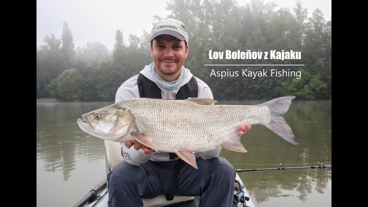 Lov Boleňov z Kajaku | Aspius Kayak Fishing | Topwater Baitcast Fishing