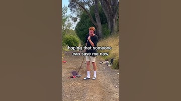 Thumbnail of what a cool dragon fly #shorts #music #viral