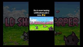#larp #LDShadowLady #Minecraft #youtuber #larping #larptube #larptuber