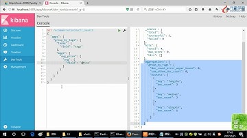 Elasticsearch顶尖高手系列 快速入门篇 P8  08 快速入门案例实战之电商网站商品管理：嵌套聚合，下钻分析，聚合分析