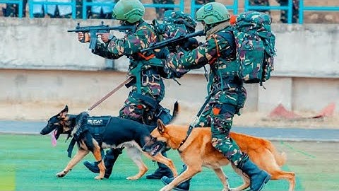 TAZAMA KIKOSI CHA MBWA VITA WANAVYO KAMATA ADUI NI BALAA