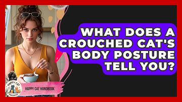 What Does A Crouched Cat