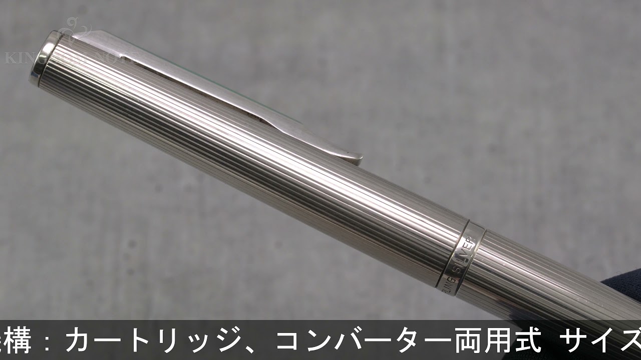 PLATINUM プラチナ 万年筆 リビエール スターリングシルバー ライン
